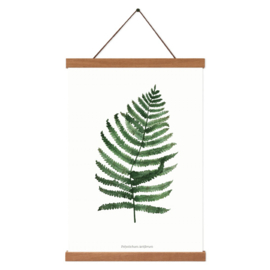 Planten poster - Varen