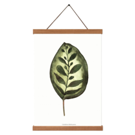 Planten poster - Calathea Makoyana