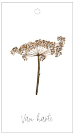 Cadeaulabel - Heracleum (6 stuks)