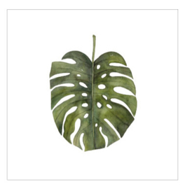 Cadeaukaartje - Monstera Deliciosa (6 stuks)