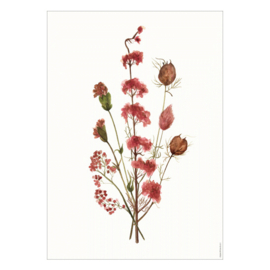 Droogbloemen poster - Lovely pink