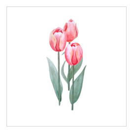 Cadeaukaartje - Tulpen (6 stuks)