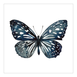 Cadeaukaartje - Butterfly universe (6 stuks)