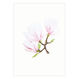 Kaart A6 - Magnolia (6 stuks)