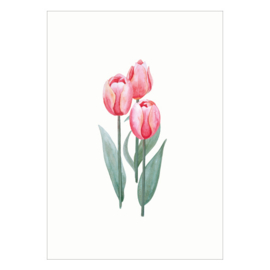 Kaart A6 - Tulpen (6 stuks)