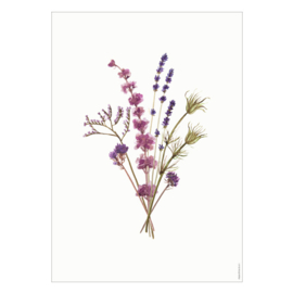 Kaart A6 - Droogbloemen Lavendel (6 stuks)