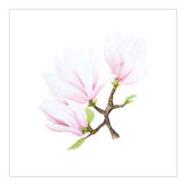 Cadeaukaartje - Magnolia (6 stuks)