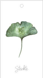 Cadeaulabel - Ginkgo (6 stuks)