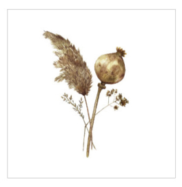 Cadeaukaartje - Dried flowers (6 stuks)