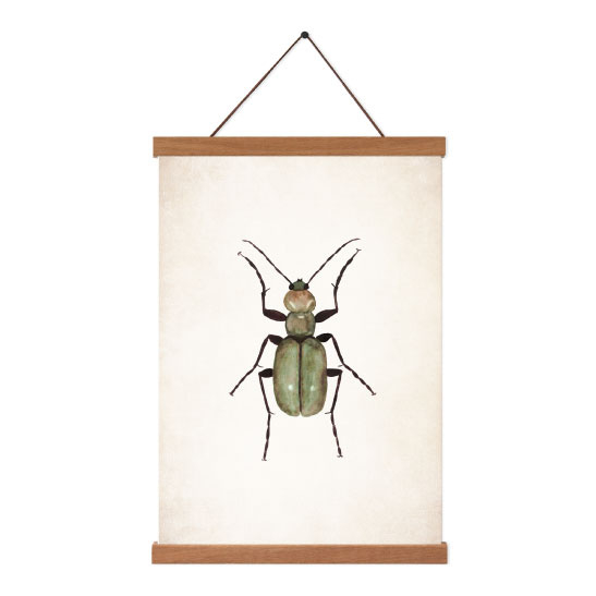 Poster A5 - Beetle Green