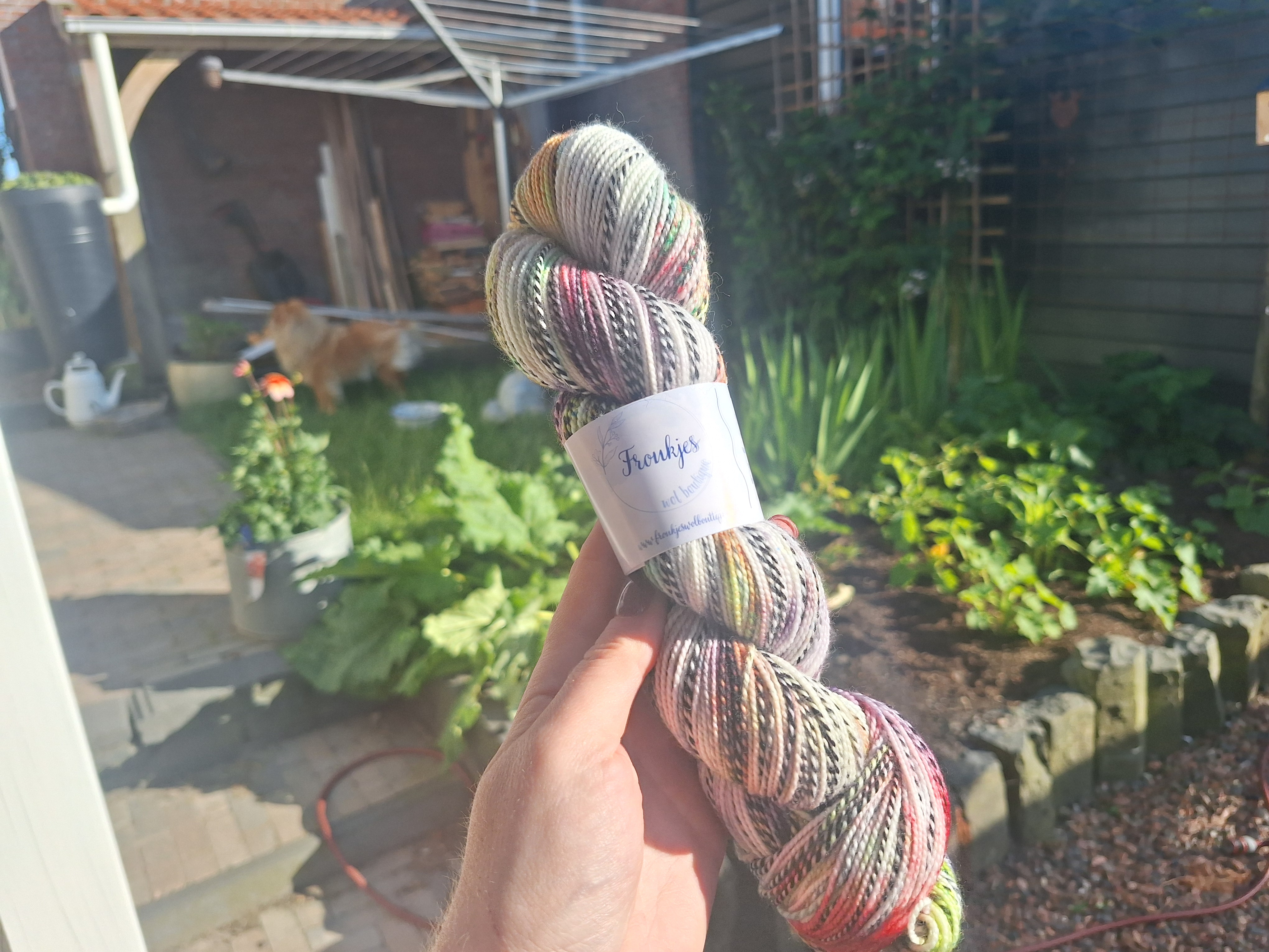 Flierefluiter  - Zebra sock