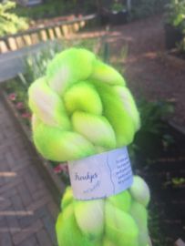 Shropshire - uniek 028