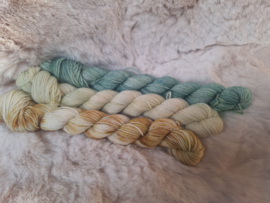 BFL mini's set - set 18