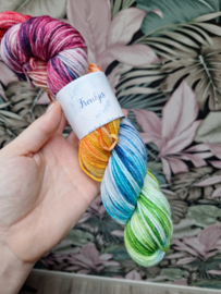 Regenboog - merino DK