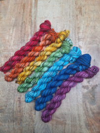 Regenboog set ZEBRA