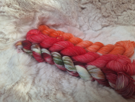 BFL mini's set - set 13