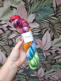 Regenboog - merino DK