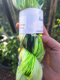 BFL Sock - Grien