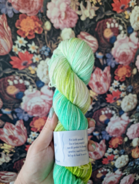 25011  - merino DK