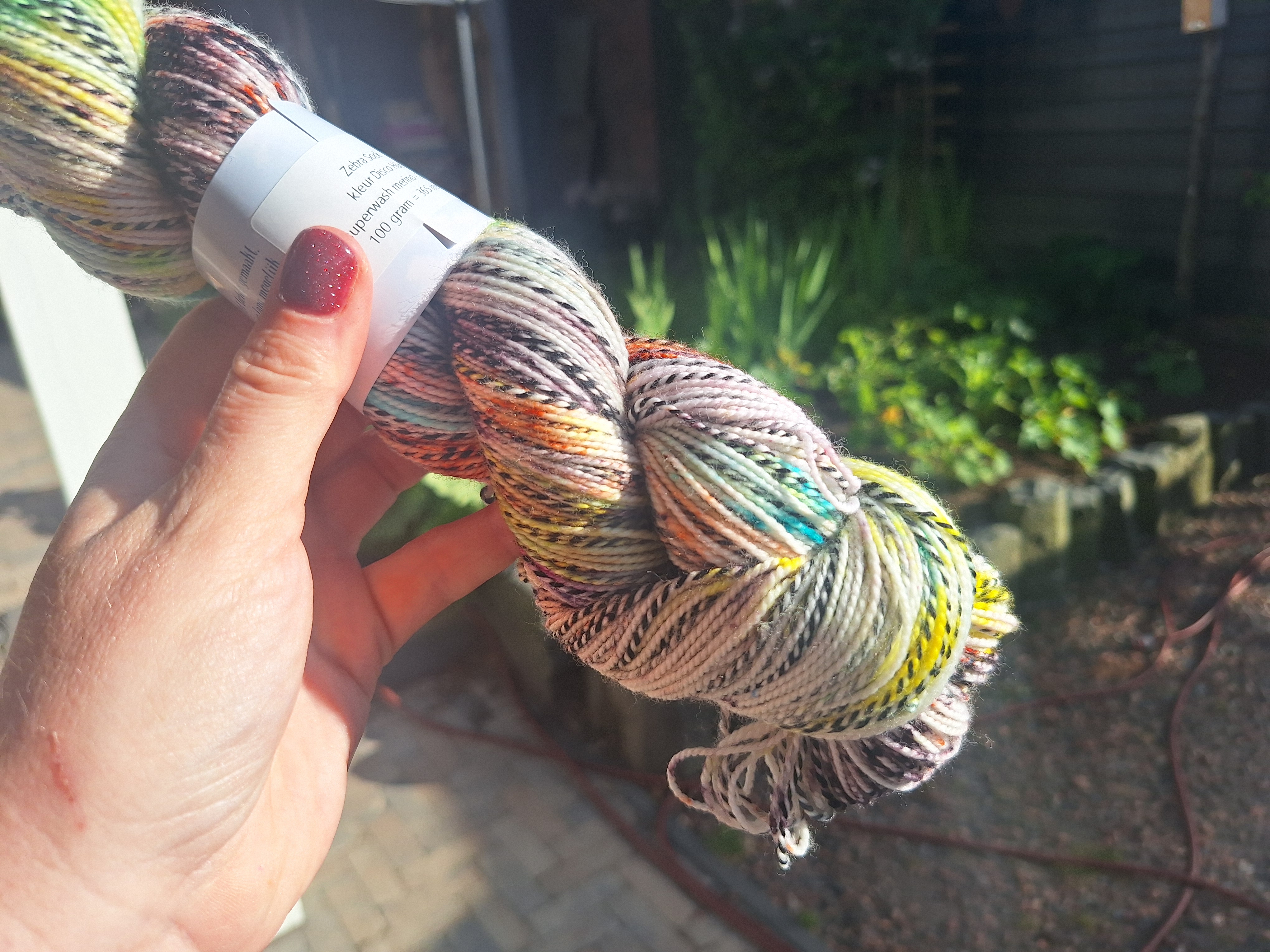 Disco hûn - Zebra sock