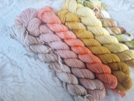 BFL mini's set - set 23
