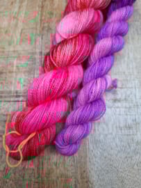 Sockset 12.