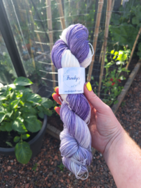 BFL Sock - Uniek-002