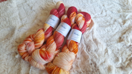 BFL Sock - uniek 16-26