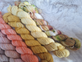 BFL mini's set - set 23