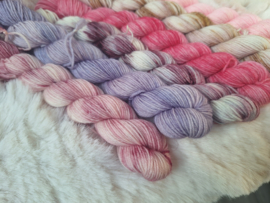 BFL mini's set - set 21