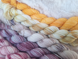 BFL mini's set - set 12