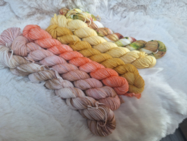 BFL mini's set - set 23