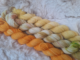 BFL mini's set - set 19