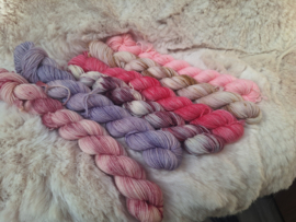 BFL mini's set - set 21