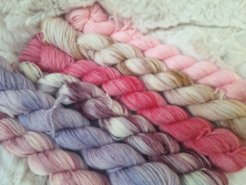 BFL mini's set - set 21