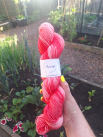 Aardbeien rood  - merino sock
