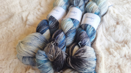 BFL Sock - uniek 19-26
