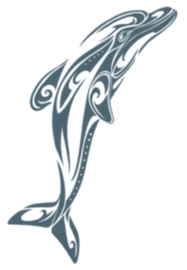 Tribal Tattoos Dolphin
