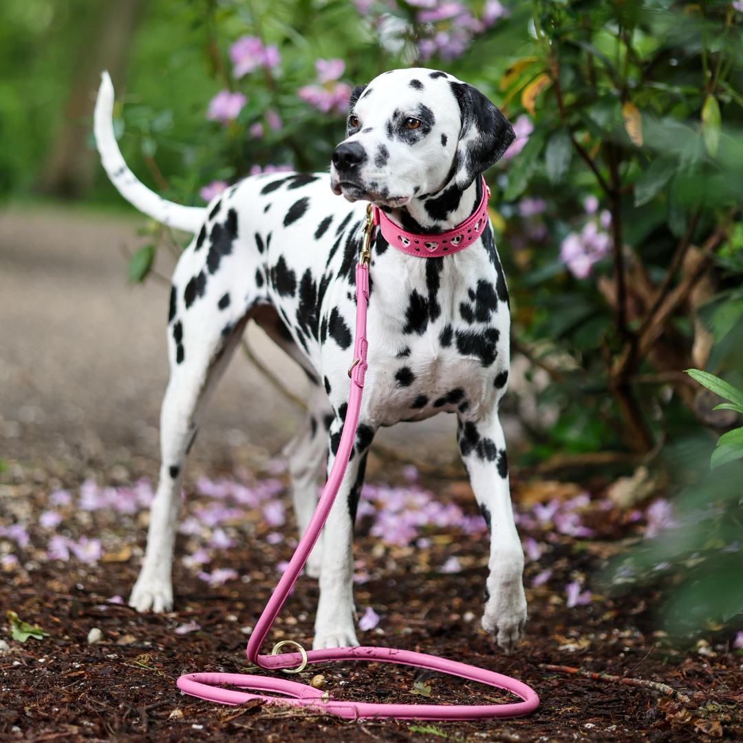 LEATHER LEASH - BUBBLEGUM PINK