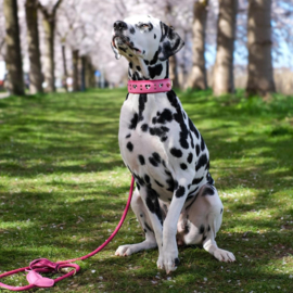 HALSBAND - MY VALENTINE BUBBLEGUM PINK - dalmatiër print