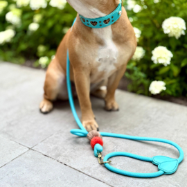 HEARTBEAT LEASH PPM - BLUE