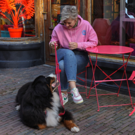 PINK HOODIE - DOGLOVE RULES