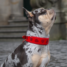 HALSBAND - LOVE RULES RED