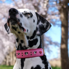 HALSBAND - MY VALENTINE BUBBLEGUM PINK