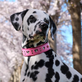 HALSBAND - MY VALENTINE BUBBLEGUM PINK