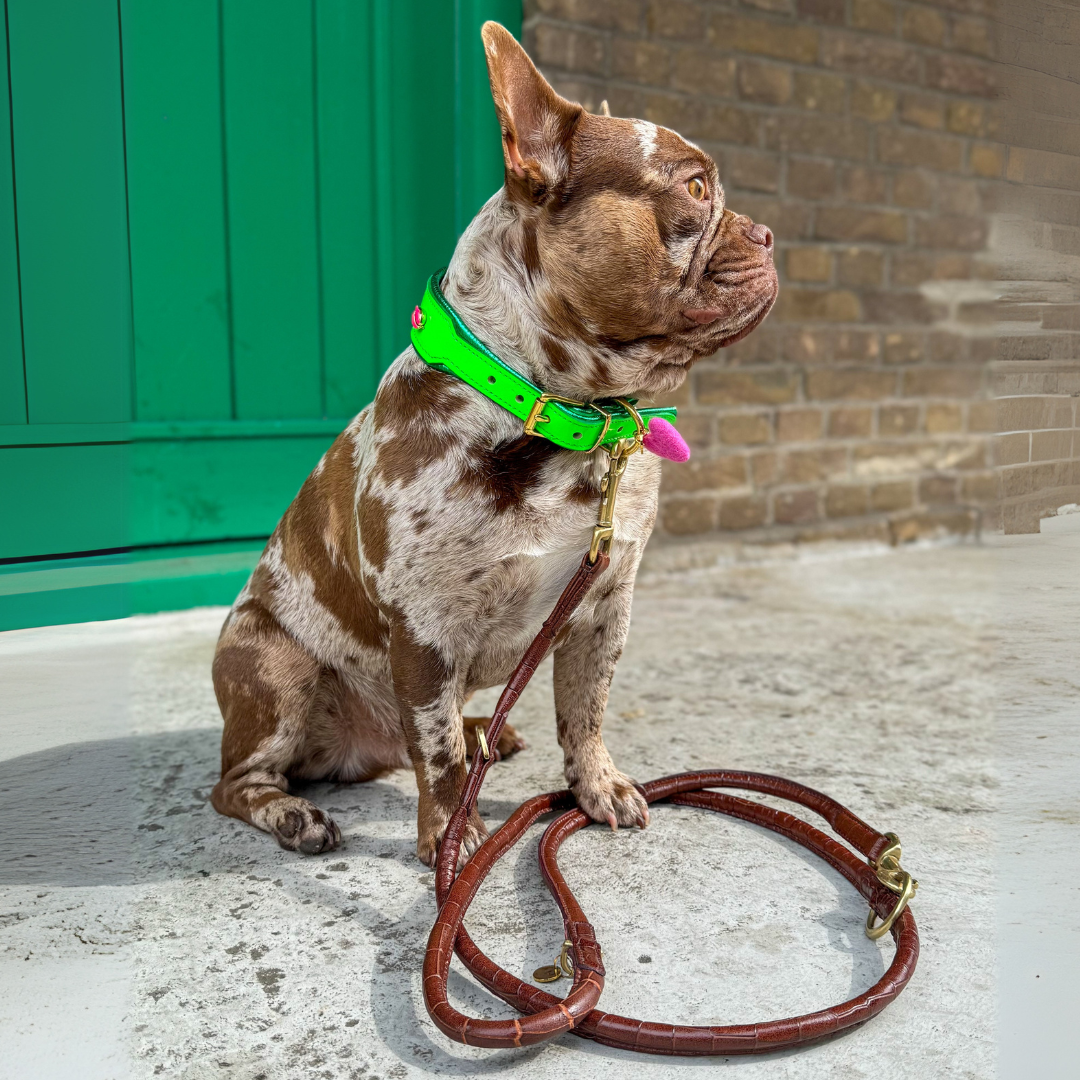 LEATHER LEASH - CROCO BROWN