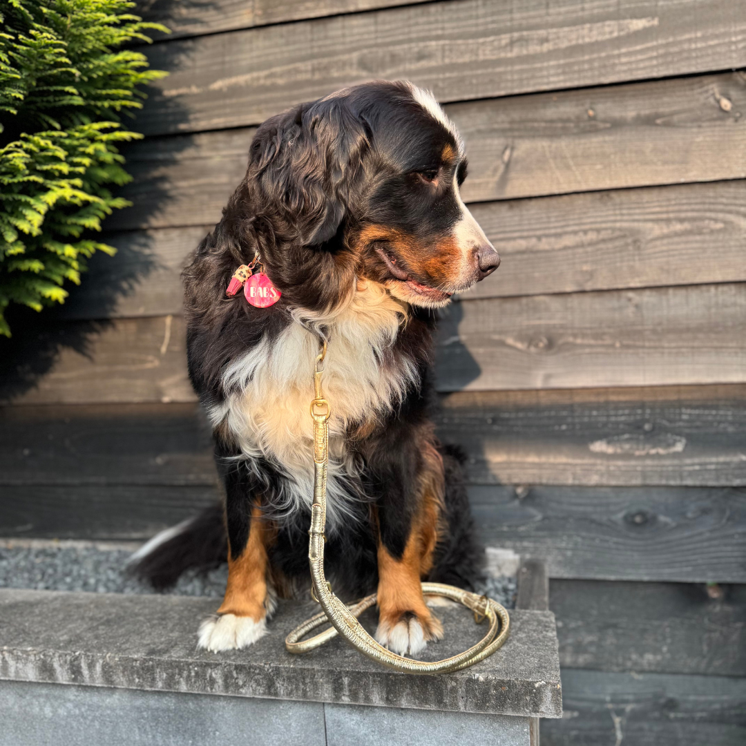 LEATHER LEASH - CROCO GOLD