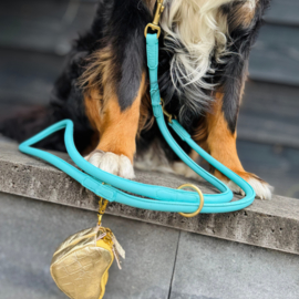 LEATHER LEASH - BOLD IN BLUE