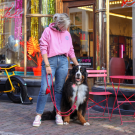 PINK HOODIE - DOGLOVE RULES