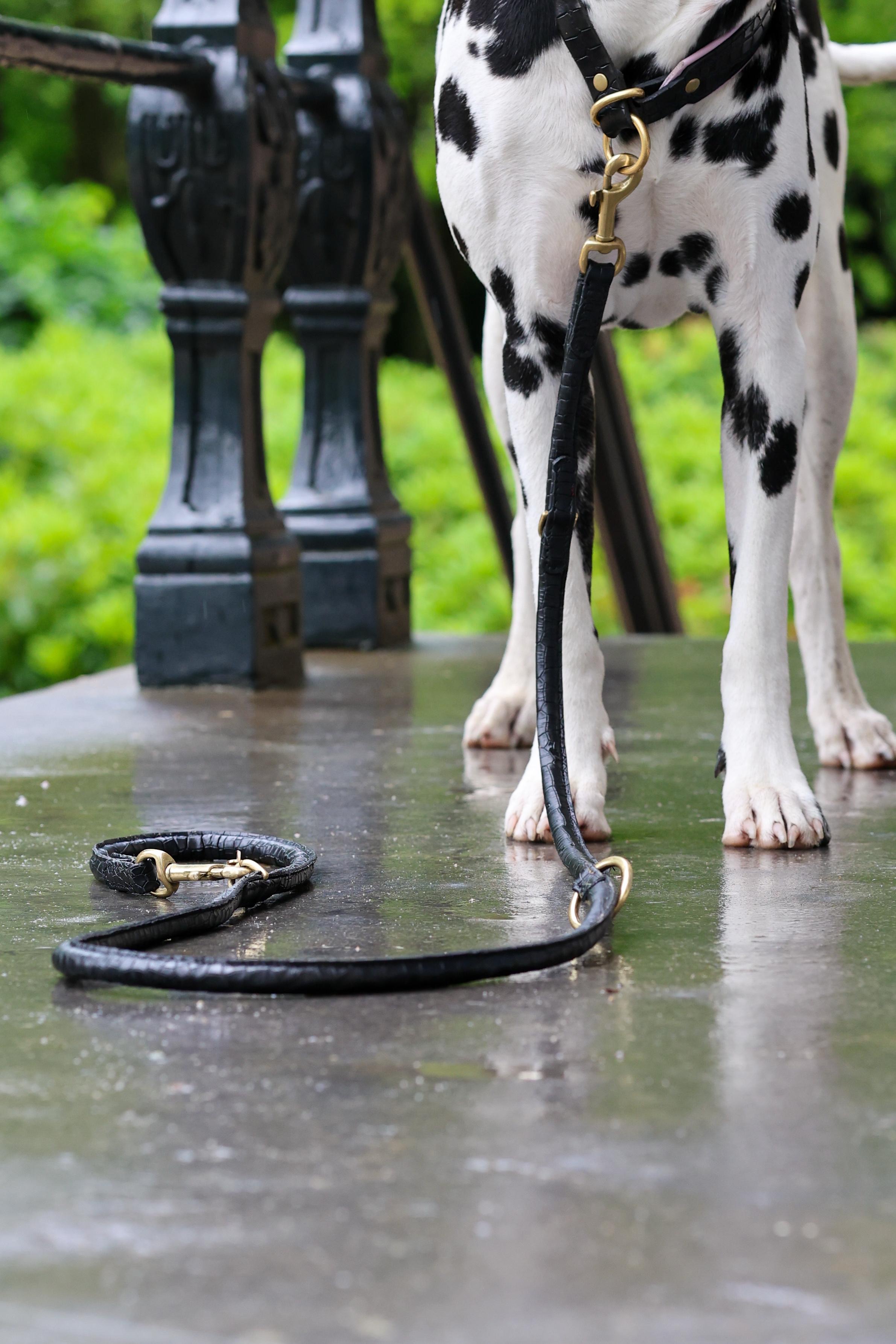 LEATHER LEASH - CROCO BLACK